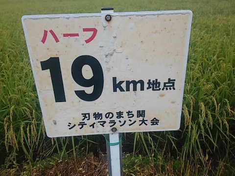 朝RUN。ビルドアップ気味に15km。田