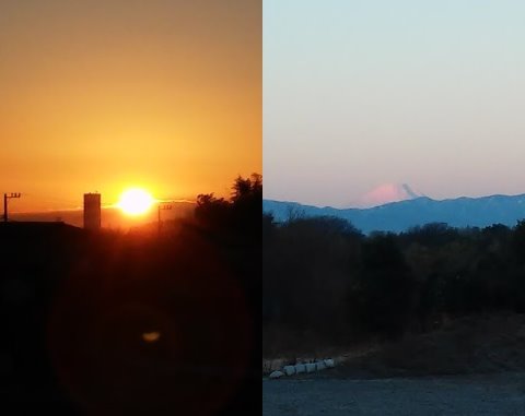 やはりスマホのデジタルズームだと全然ダメですね。デジカメ持って行けば良かった。