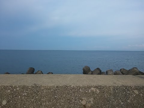 ようやくたどりついた日本海(笑)