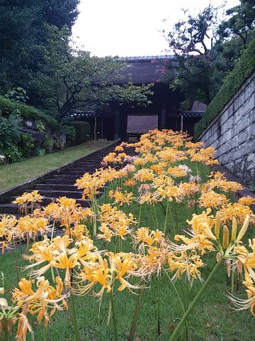 1度目は一人で。