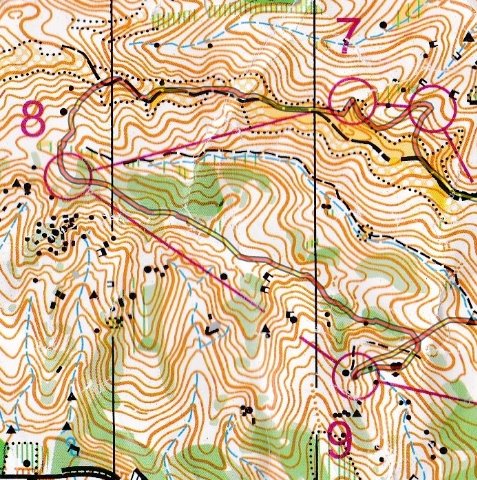 8→9: 勝負レッグなので丁寧に尾根を辿ったのに、典型的なパラレルエラー(1'23
