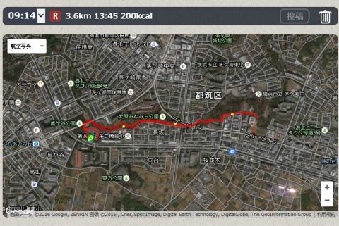 第19回都筑区きずな駅伝大会2区・4km