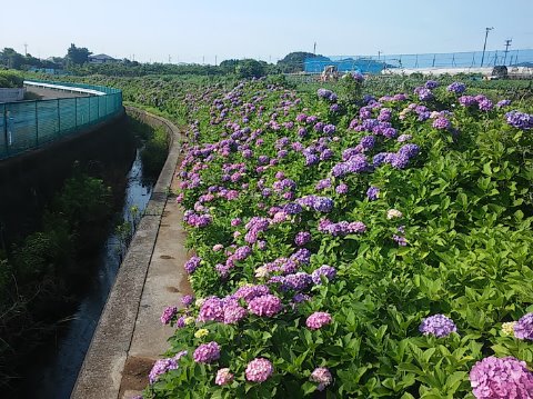 横浜の朝