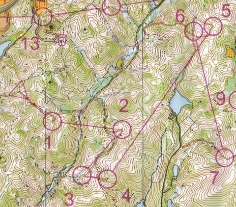 1→2(ミスタイム1:29)ヤブと湿地にハマりたくなかったので尾根の向こう側まで遠回り(ルートミス?)。 4→5(ミスタイム3:21)ルートミス。6ポ西側の沢の小径をたどれることを期待していたものの見つからずにヤブい尾根を登る目に。 5→6(ミスタイム1:03)5ポのアタックで6ポを見ていたので楽勝、の筈がアホみたいなミス。ちゃんとコンパス見て下りないとダメですね。