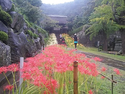 雨だったので我々しか居ませんでした(笑)