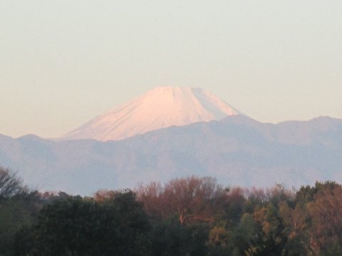 元旦。新年早々下痢でなかなか家を出られず