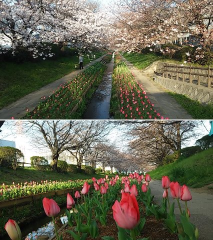 江川せせらぎ緑道