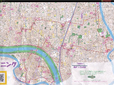 ルート図。48の公園は9月から立入禁止になっていて入れず。北千住→梅島は電車移動。