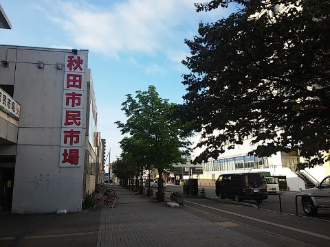 なんだか「広島市民球場」みたい(笑)