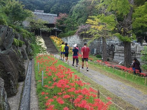 祝日。北コースに行かずに32km。今日は