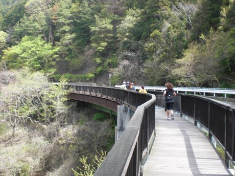 ダム湖わきの小道。みんなで走ると、道がわっさわっさ、揺れる揺れる～～。怖がってる人、1人(^-^) 私じゃない。