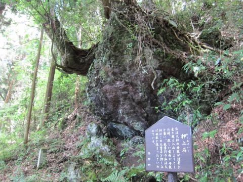 高野山町石道