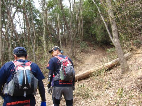 やっとトレイルになりました～。大暑山への登りです。