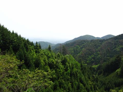 京都の街が見えるポイントでランチ。