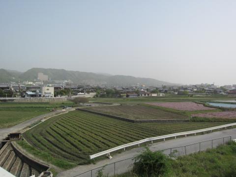 箕面駅まで4kmなので走っていきました。初めての妙見山行きで、わくわく。