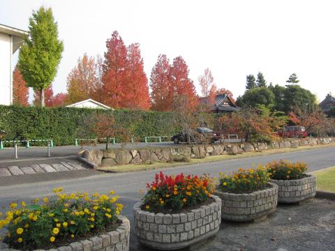 横を見ると、こんなにお花や紅葉がキレイ♪ここでしばし、走りながら心の休息。