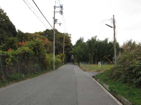 帰りのルート。林の中で少々怖い。やっと抜け出て、振り返ってみたところ。
