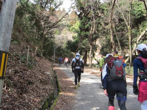 最初の劇坂。まだ元気だけど・・・