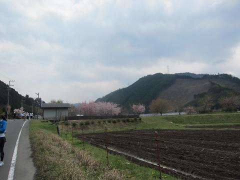 のどかな風景２