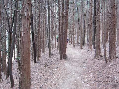 高度が上がると、だんだん寒くなる。