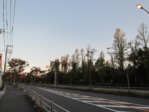 朝の散歩run+坂6本6.5km