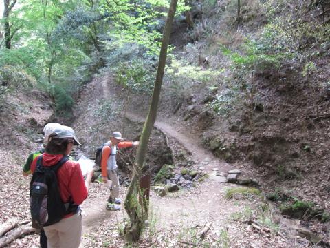 沢も越えたりします。（東山三十六峰レースの一部らしい）