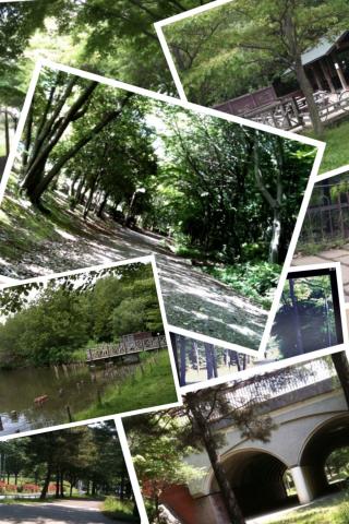 緑道で遊んでみました!(Pic Collage)