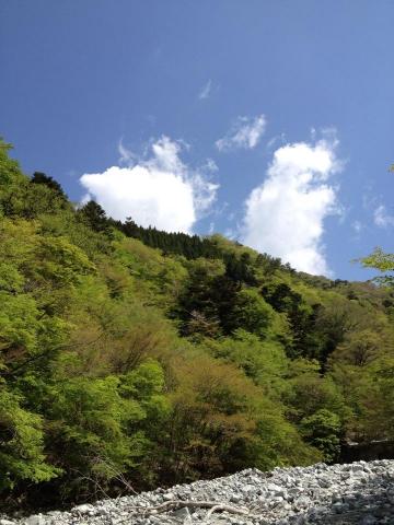 檜洞丸でのビリケンドックは至高です。