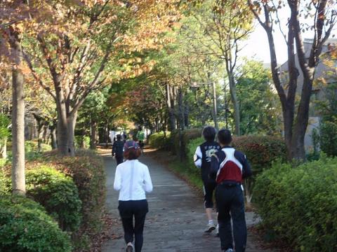 緑道のひとコマ(写真は友人かのものです)