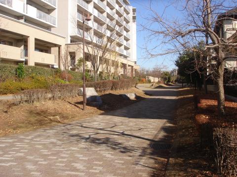 マイコースである緑道1