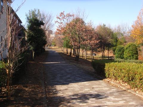 緑道2