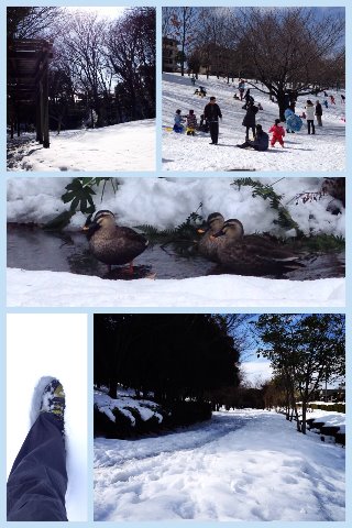 SNOW Trail@緑道