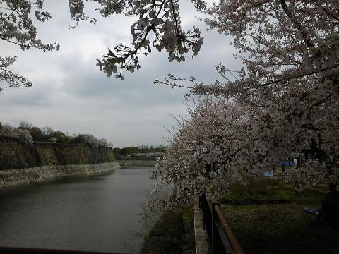 大阪城お花見run