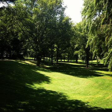 北海道大学