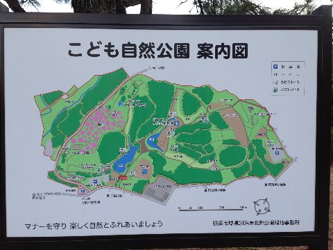 大池自然公園