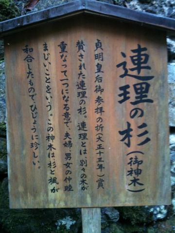 大人の休日