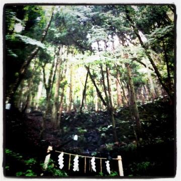 貴船神社から山を望む、何とも神秘的なパワーを感じます。