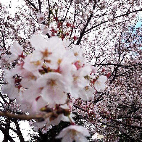 神無公園