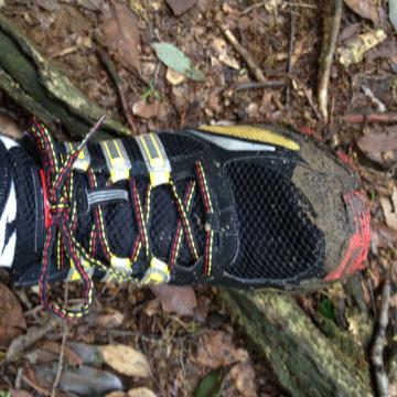 トレイルの相棒adizero XT1年振りに履いたら何だか小さく感じます。長年お世話になりましたが、今日で引退です。