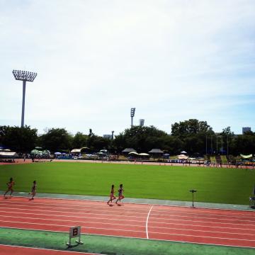 灼熱の三ツ沢長女の3000m、前から2番目が娘です。