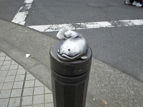 町の至る所になまずが