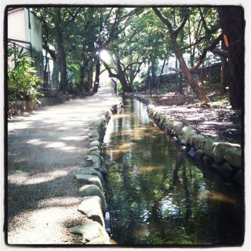 堀川