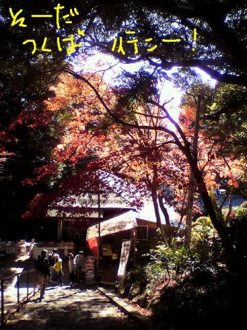 筑波山トレイル⇒手賀沼ジョグ 今日は、真面目に~