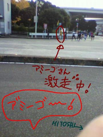 こちらの激走の結果は・・・アミーゴさんのブログに・・・つづく・・・・