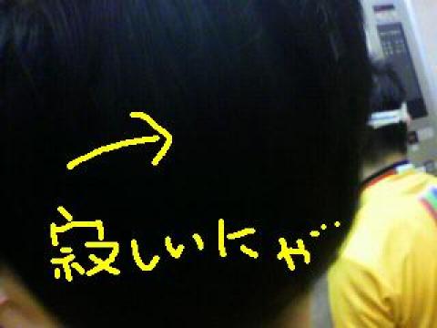 突然ですが、接近しても、跳ねてない・・・