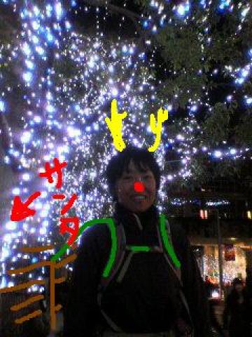 ミッキーと仲居、違う・・・ミッキートナカイ、きらきらしてます~(^^)