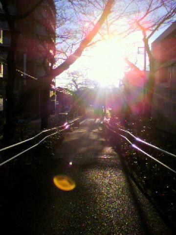 その3.
ちょっと時間の経った、初日の出~ すんません、時期はずれで・・・