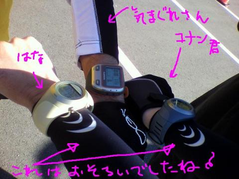 筑波山トレイル⇒手賀沼ジョグ 今日は、真面目に~