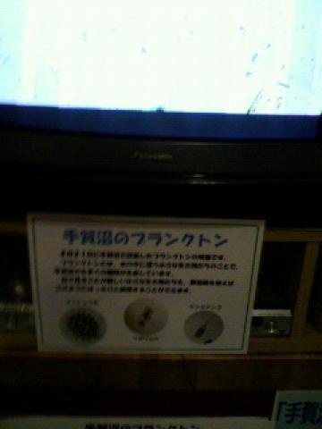 こんなものまで見せられて~