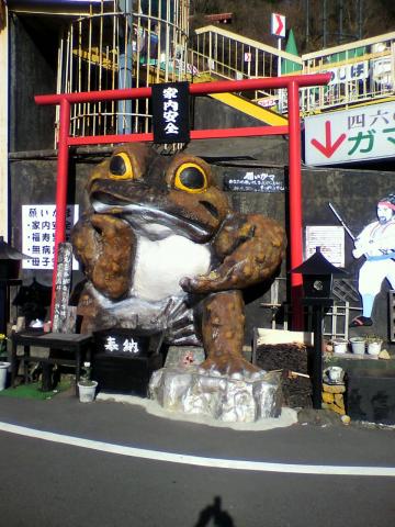 筑波山は・・・・がまちゃんだらけ・・・